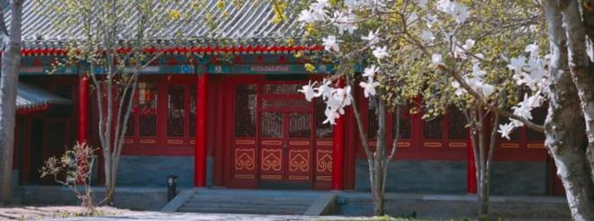 他和马筱梅的婚礼太潦草四合院布置简陋AG旗舰厅最新版汪小菲二婚穿高跟皮鞋(图4)